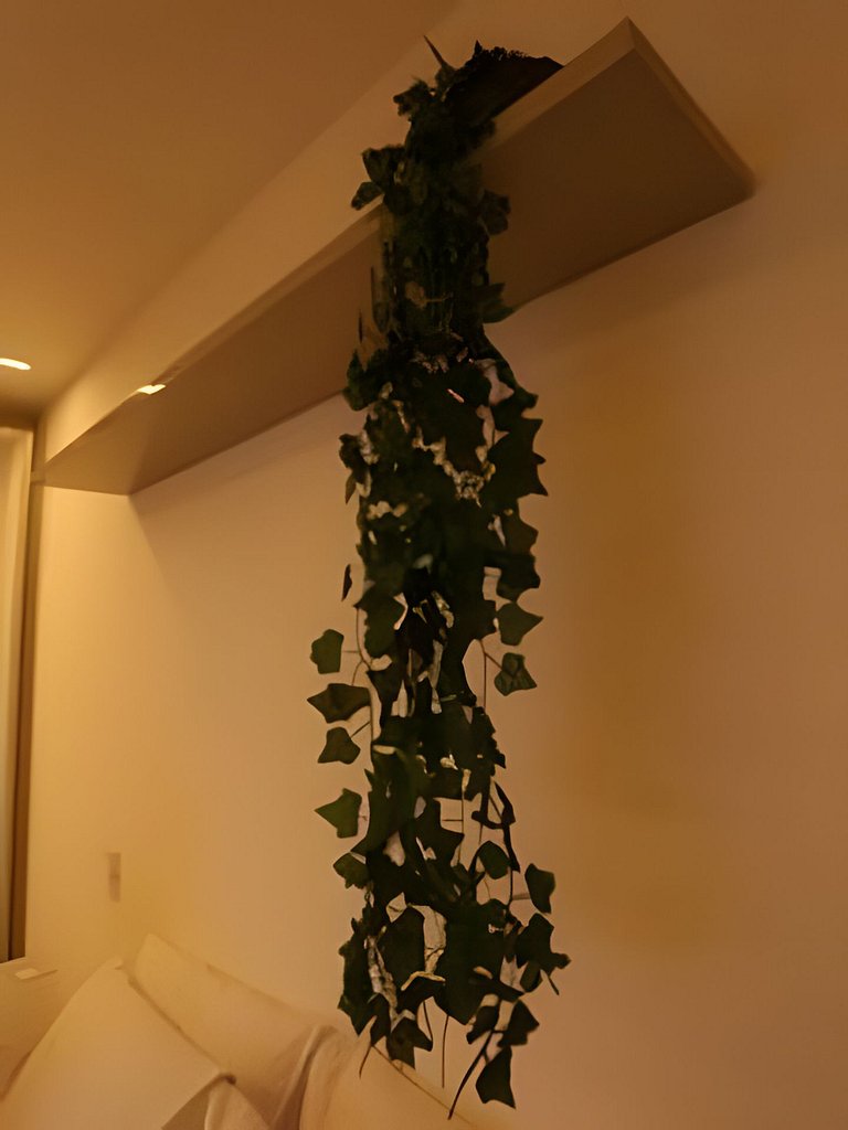 Apto Luxo 2/4 | Acomoda até 8 hóspedes