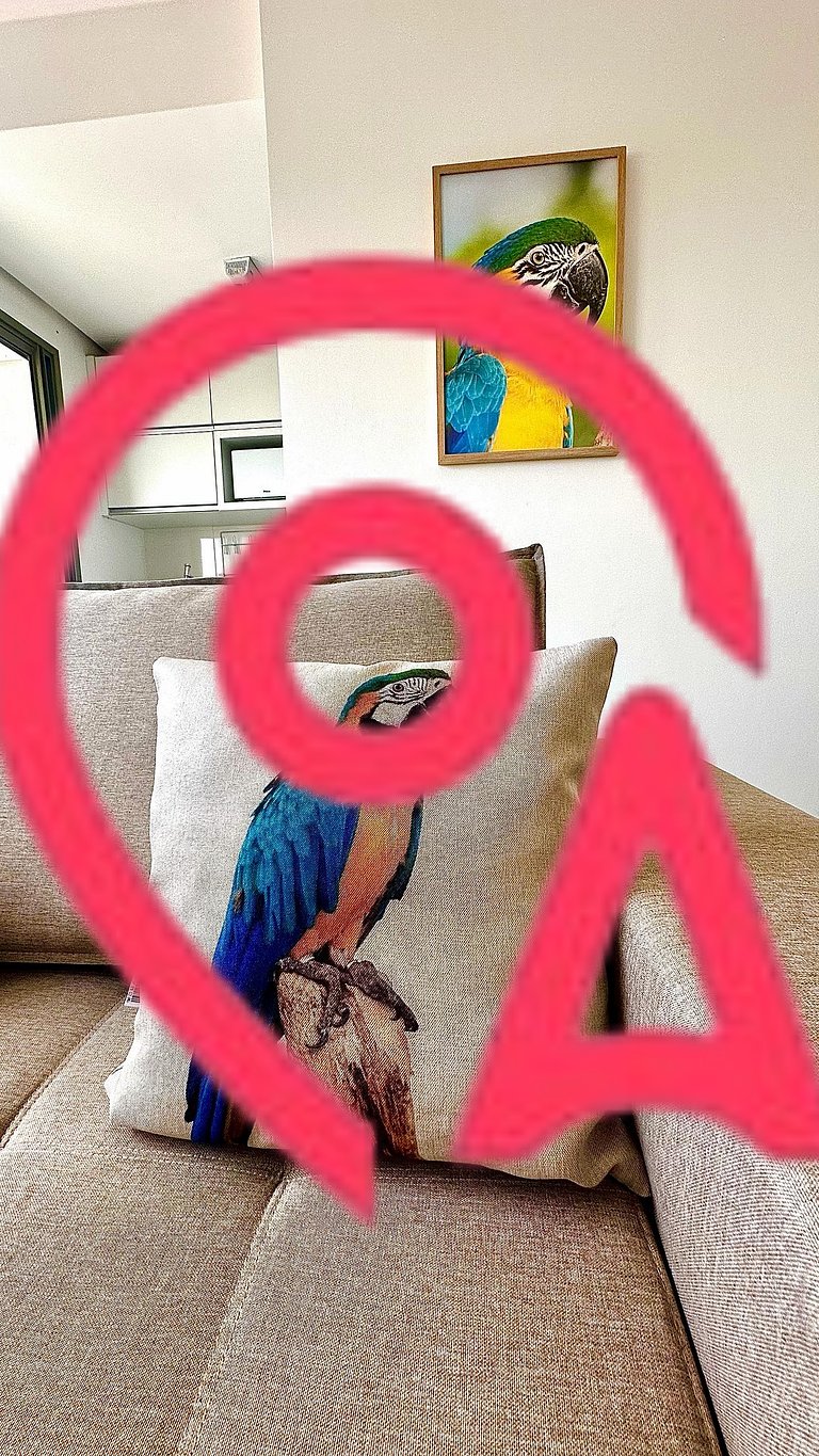 Flat capim dourado | moderno com sofa-cama