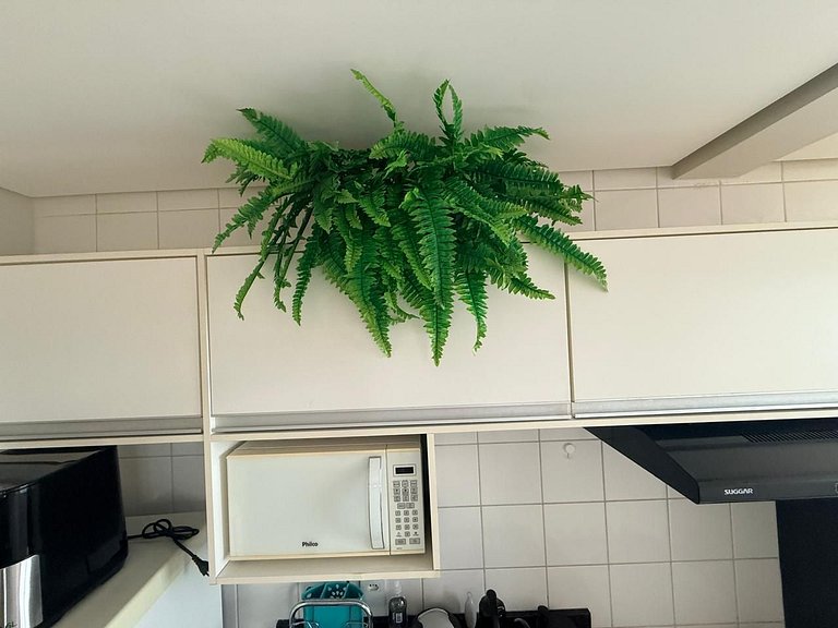 Studio Premium | Vista para a serra